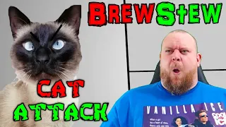 Get' em Cotton!! - Brewstew Cat Attack REACTION