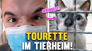 Tourette im Tierheim - Auf der SUCHE nach SERENGETI!