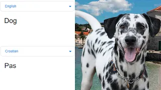 Dog in different languages meme