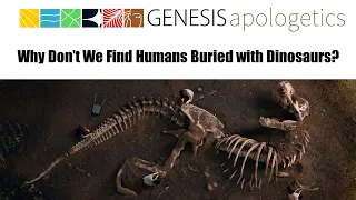 Why Don’t We Find Humans Buried with Dinosaurs?