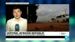 Central African Republic: Chadian peacekeepers killed in Bangui