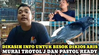 INFO TERBARU UNTUK BESOK!!! CEK HARGA BURUNG DIKIOS ARIS LANTAI DUA PASAR BURUNG PRAMUKA HARI INI