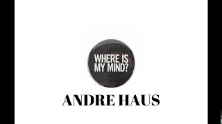 Andre Haus  - Where is my mind ? (ft Daniela Andrade)