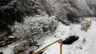 Гуамское ущелье зимой