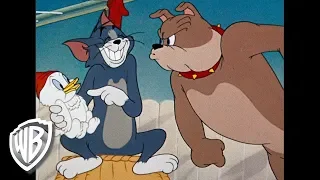 Tom et Jerry en Français | Compilation Classique Dessins Animés | Tom, Jerry, et Spike | WB Kids