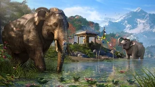 Far Cry 4 - Rare Animals: Gulo (Part 034) No Commentary