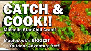 Michelin Star CHILI CRAB!! 【Teaser】