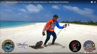 Black Grouper /Likas Island / Kalayaan Group of Is. / West Philippine Sea #fishing