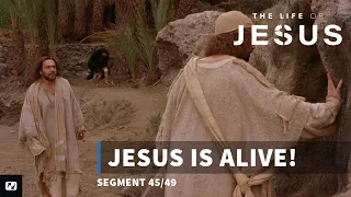 Jesus is Alive! | The Life of Jesus | #45