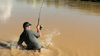 CE COLOSSE PEUT VOUS TIRER À L'EAU ! - Cyril Chauquet