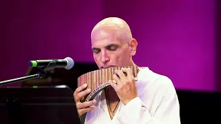 Damian Draghici: Meditatii Lautaresti - Butter of Wood (Sibiu Jazz Festival)