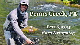 PENNS CREEK: Euro Nymphing Central PA’s Brown Trout