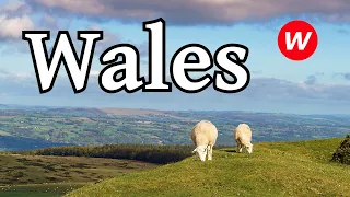 Facts about Wales | Englisch-Video für den Unterricht