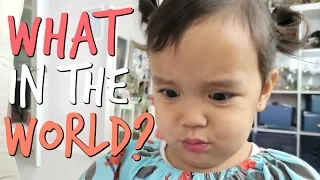 WHAT IN THE WORLD IS THIS?! - October 15, 2016 -  ItsJudysLife Vlogs