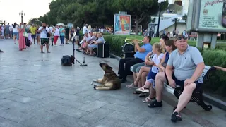 Трубач и поющая собака на набережной Ялты