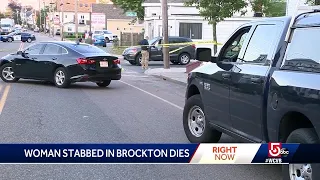 Woman stabbed in neck during apparent road rage incident dies