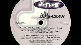 DJ Sneak - U Can't Hide From Your Bud (Original Bud Flava Mix) 1997