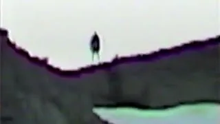 Marble Mountain Bigfoot "Original Video"