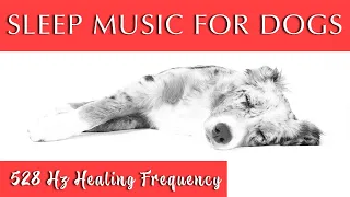 Dog Sleep Music Black Screen  [528 Hz Healing Frequency]