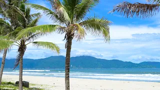 Relaxing 10 Hours of Tropical Beach with Ocean Waves, Blue Sky, White Sand & Palm Trees