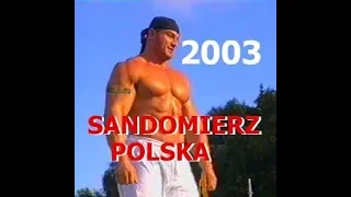 Europe's strongest man  2003