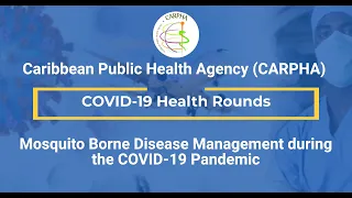 Mosquito Borne Disease Management during the COVID-19 Pandemic