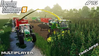 Silage harvest | Ungetsheim & Estancia Lapacho | Multiplayer Farming Simulator 19 | Episode 16