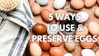 5 Ways To Use Up & Preserve EGGS