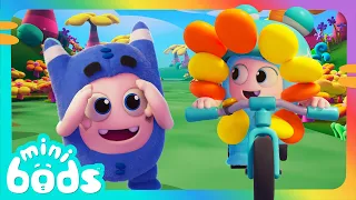 ⭐ NEW⭐ Lulu y su aventura en bicicleta 🚲 |🌈 Caricaturas para niños🌈 | Minibods en Español