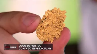 Equipe do Câmera Record mostra o trabalho em garimpos ilegais no Pará