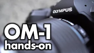 Olympus OM-1 REVIEW: first looks with OM System camera