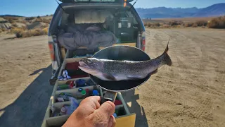 Catch and Cook and Camp Wild Trout Out of my Truck (Freezing Solo Overnight)