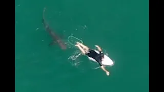 Pro-surfer escapes close encounter with great white shark