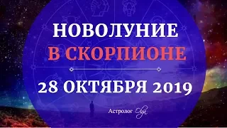 ТРАНСЦЕНДЕНТНОЕ НОВОЛУНИЕ в СКОРПИОНЕ 28 ОКТЯБРЯ 2019. Астролог Olga