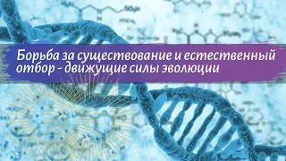 Биология 9 класс Пасечник $32 Борьба за существование и естественный отбор - движущие силы эволюции