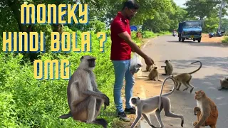 My first vlog Obedient Dodo Mori Donal And Moly Sitting Wait Mom Mixed Milk#travelhulk