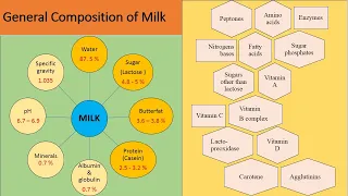 Milk Microbiology Part 1  Composition of Milk