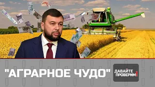 Бенефис Скабеевой, "замерзающая" Украина, аграрий Пушилин
