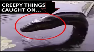 Scary Videos of Creepy Things Caught on Camera to Make You Scream in Horror