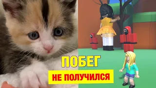 НОВЫЙ СПОСОБ КАК УБЕЖАТЬ от ИГРЫ в КАЛЬМАРА 😱 Получилось?