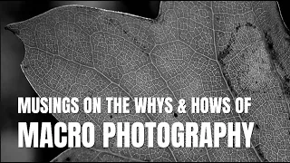 Musings on the Whys and Hows of Macro Photography