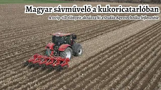 Új magyar sávművelő - Kukoricatarlóban próbáltuk ki a Dudás Agrotechnika strip-till gépét