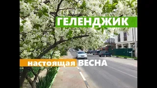 ГЕЛЕНДЖИК. Настоящая весна! Погода 10 апреля. + Цены на морские прогулки и рыбалку