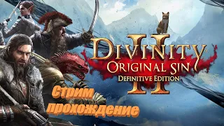 Divinity: Original Sin 2 Прохождение в кооперативе. Дохлый эльф и в меру "Сильная женщина" Часть 5