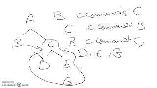 Structural Relations (c command)