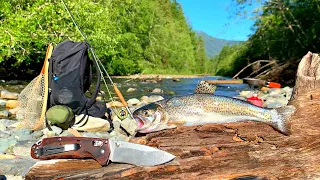 WILD TROUT Fishing in MOUNTAIN RIVER!!! (Catch, Cook, Camp)