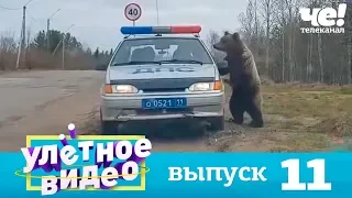 Улетное видео | Выпуск 11