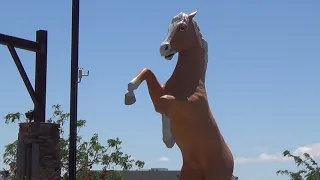 Patsy's Travels: Statue of Roy Rogers' Horse "Trigger", Apple Valley, CA (1 of 1)