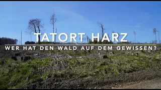 Tatort Harz - Kaputte Wälder und die Schuldfrage