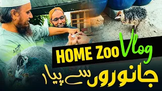 Home Zoo Mufti Tariq Masood | Mufti Tariq Masood Speeches 🕋